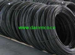 GCr9/����������X9/ASTM E51100/ JIS SUJ1/NF100C5/DIN105Cr4